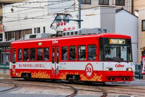広島電鉄800形 807号 土橋付近にて 2014年7月撮影。