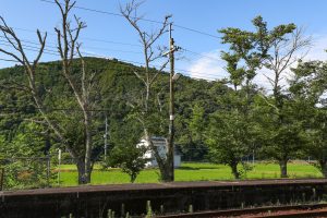JR西日本･姫新線 美作江見駅の木製通信柱（岡山県美作市）